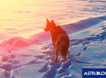 Διάβασε ΔΩΡΕΑΝ την προσωπική σου πρόβλεψη, για σήμερα 14/02/2024