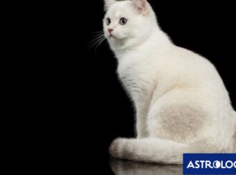 Δύο ζώδια θα είναι απόλυτα, σήμερα, 29/02