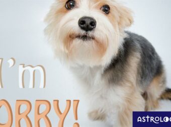 Τα ζώδια που μετά από χρόνια καταλαβαίνουν τα λάθη τους στη σχέση και ζητούν συγχώρεση