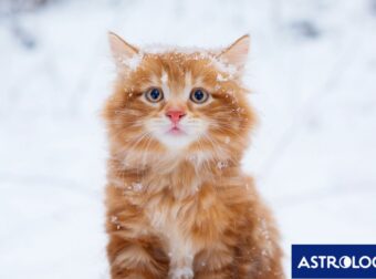 Διάβασε ΔΩΡΕΑΝ την προσωπική σου πρόβλεψη, για σήμερα 22/02/2024