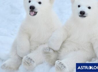 Διάβασε ΔΩΡΕΑΝ την προσωπική σου πρόβλεψη, για σήμερα 08/02/2024