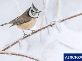 Διάβασε ΔΩΡΕΑΝ την προσωπική σου πρόβλεψη, για σήμερα 24/02/2024