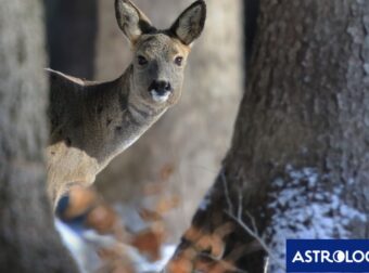 Διάβασε ΔΩΡΕΑΝ την προσωπική σου πρόβλεψη, για σήμερα 16/02/2024