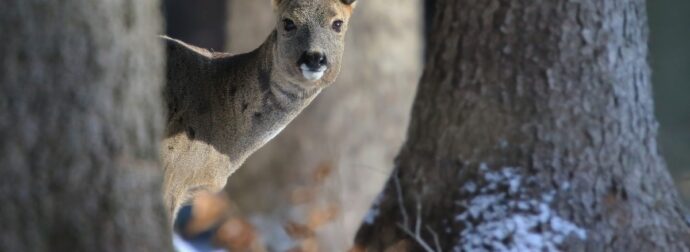 Διάβασε ΔΩΡΕΑΝ την προσωπική σου πρόβλεψη, για σήμερα 16/02/2024