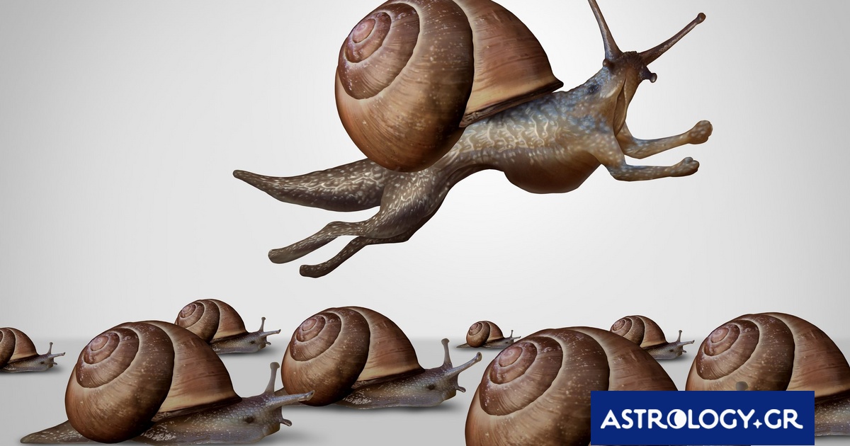 Μην υποτιμάς αυτά τα ζώδια, γιατί μπορούν να σε αφήσουν με το στόμα ανοιχτό