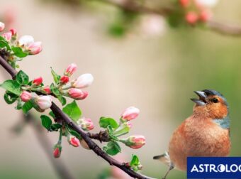 Διάβασε ΔΩΡΕΑΝ την προσωπική σου πρόβλεψη, για σήμερα 14/03/2024