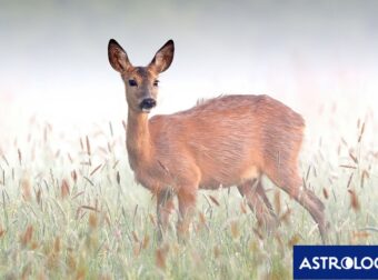 Διάβασε ΔΩΡΕΑΝ την προσωπική σου πρόβλεψη, για σήμερα 16/03/2024