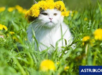 Διάβασε ΔΩΡΕΑΝ την προσωπική σου πρόβλεψη, για σήμερα 02/03/2024