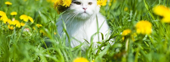 Διάβασε ΔΩΡΕΑΝ την προσωπική σου πρόβλεψη, για σήμερα 02/03/2024