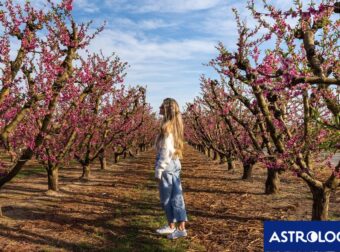 Ημερήσιες Προβλέψεις για όλα τα Ζώδια, 07/03: Αλλοπρόσαλλες συμπεριφορές