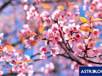 Διάβασε ΔΩΡΕΑΝ την προσωπική σου πρόβλεψη, για σήμερα 31/03/2024
