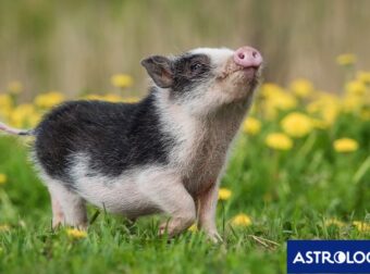 Διάβασε ΔΩΡΕΑΝ την προσωπική σου πρόβλεψη, για σήμερα 30/03/2024