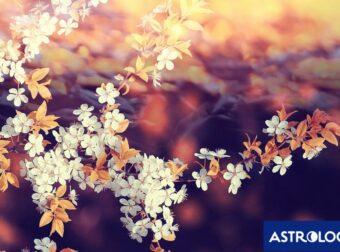 Διάβασε ΔΩΡΕΑΝ την προσωπική σου πρόβλεψη, για σήμερα 19/03/2024