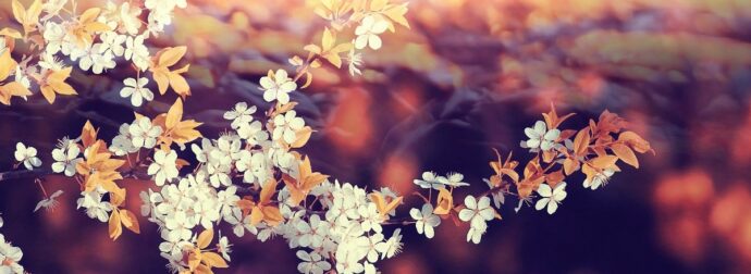 Διάβασε ΔΩΡΕΑΝ την προσωπική σου πρόβλεψη, για σήμερα 19/03/2024