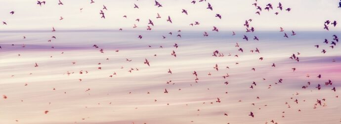 Διάβασε ΔΩΡΕΑΝ την προσωπική σου πρόβλεψη, για σήμερα 24/03/2024