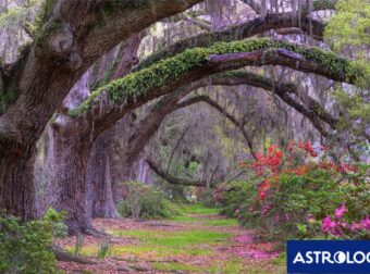 Διάβασε ΔΩΡΕΑΝ την προσωπική σου πρόβλεψη, για σήμερα 01/03/2024