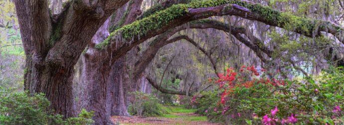Διάβασε ΔΩΡΕΑΝ την προσωπική σου πρόβλεψη, για σήμερα 01/03/2024