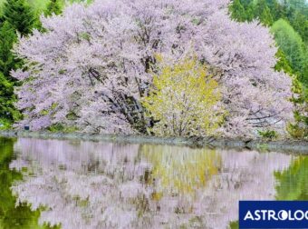 Διάβασε ΔΩΡΕΑΝ την προσωπική σου πρόβλεψη, για σήμερα 07/03/2024