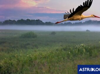 Διάβασε ΔΩΡΕΑΝ την προσωπική σου πρόβλεψη, για σήμερα 06/03/2024