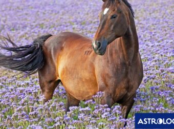 Διάβασε ΔΩΡΕΑΝ την προσωπική σου πρόβλεψη, για σήμερα 12/03/2024