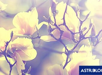 Διάβασε ΔΩΡΕΑΝ την προσωπική σου πρόβλεψη, για σήμερα 17/03/2024