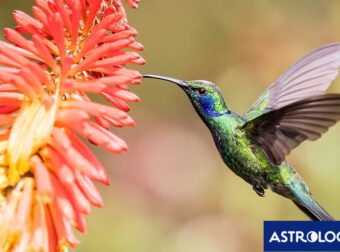 Διάβασε ΔΩΡΕΑΝ την προσωπική σου πρόβλεψη, για σήμερα 28/03/2024