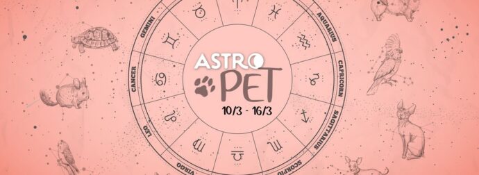 AstroPet από 10/03 έως 16/03: Εβδομαδιαίες προβλέψεις για το κατοικίδιό σου
