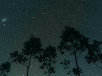 Ζώδια: Τι μας περιμένει σήμερα, Τετάρτη 20 Μαρτίου