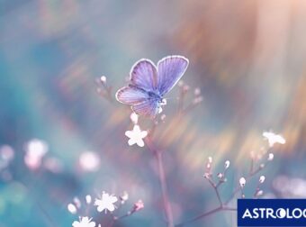 Διάβασε ΔΩΡΕΑΝ την προσωπική σου πρόβλεψη, για σήμερα 25/03/2024