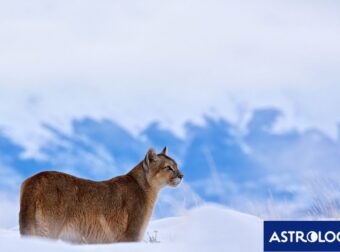 Διάβασε ΔΩΡΕΑΝ την προσωπική σου πρόβλεψη, για σήμερα 29/02/2024