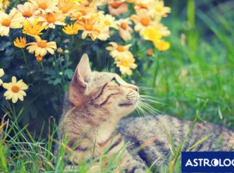 Διάβασε ΔΩΡΕΑΝ την προσωπική σου πρόβλεψη, για σήμερα 18/03/2024