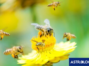 Διάβασε ΔΩΡΕΑΝ την προσωπική σου πρόβλεψη, για σήμερα 22/03/2024