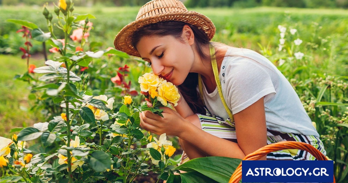 Ημερήσιες Προβλέψεις για όλα τα Ζώδια, 17/04: Πολλές και διαφορετικές συμπεριφορές