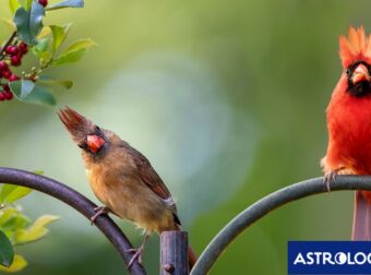 Διάβασε ΔΩΡΕΑΝ την προσωπική σου πρόβλεψη, για σήμερα 24/04/2024