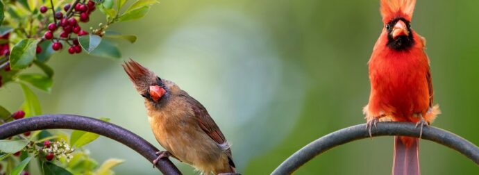 Διάβασε ΔΩΡΕΑΝ την προσωπική σου πρόβλεψη, για σήμερα 24/04/2024