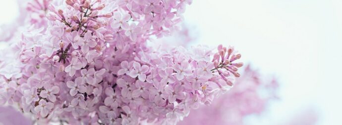 Διάβασε ΔΩΡΕΑΝ την προσωπική σου πρόβλεψη, για σήμερα 27/04/2024