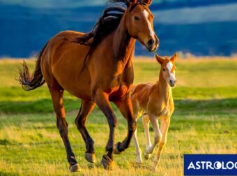 Διάβασε ΔΩΡΕΑΝ την προσωπική σου πρόβλεψη, για σήμερα 10/04/2024