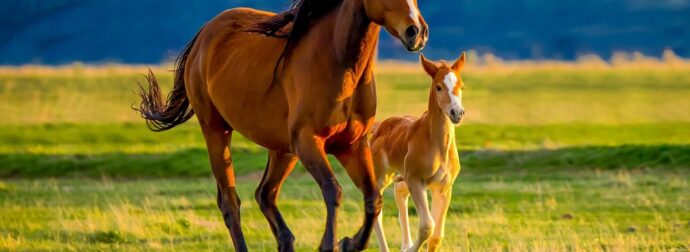 Διάβασε ΔΩΡΕΑΝ την προσωπική σου πρόβλεψη, για σήμερα 10/04/2024