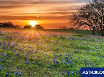 Διάβασε ΔΩΡΕΑΝ την προσωπική σου πρόβλεψη, για σήμερα 25/04/2024