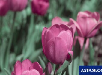 Διάβασε ΔΩΡΕΑΝ την προσωπική σου πρόβλεψη, για σήμερα 03/04/2024