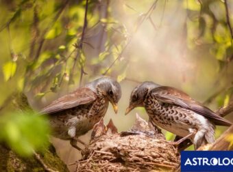 Διάβασε ΔΩΡΕΑΝ την προσωπική σου πρόβλεψη, για σήμερα 06/04/2024