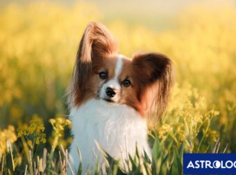 Διάβασε ΔΩΡΕΑΝ την προσωπική σου πρόβλεψη, για σήμερα 02/04/2024