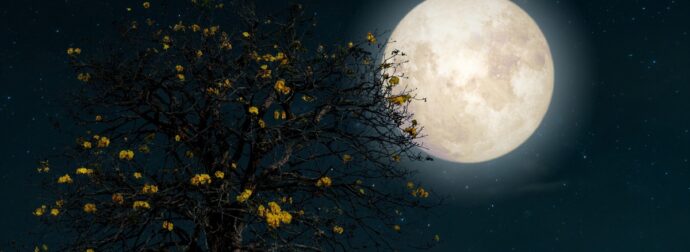 Δες τον δρόμο που σου δείχνει το Φεγγάρι από 01/04 έως 15/04