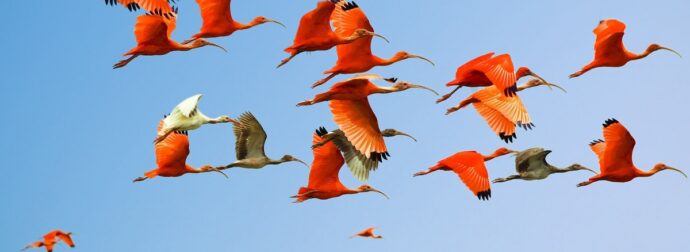 Διάβασε ΔΩΡΕΑΝ την προσωπική σου πρόβλεψη, για σήμερα 18/04/2024