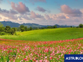 Μάιος 2024: Όσα πρέπει να γνωρίζεις για τους πλανήτες και τα ζώδια