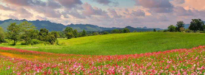 Μάιος 2024: Όσα πρέπει να γνωρίζεις για τους πλανήτες και τα ζώδια