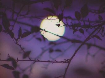 Ζώδια: Τι μας περιμένει σήμερα, Τετάρτη 24 Απριλίου