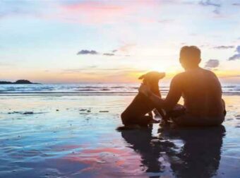 Πώς ξεχωρίζεις τα 12 ζώδια στην παραλία!