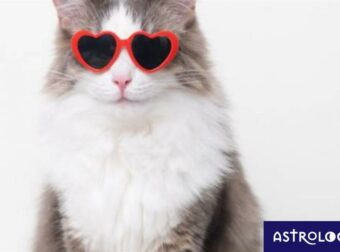 Καρκίνε, Σκορπιέ, Ιχθύ, αυτά είναι τα 5 πιο αξιαγάπητα χαρακτηριστικά σου