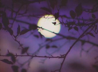 Πανσέληνος στο ζώδιο του Ζυγού: Επηρεάζονται Κριοί, Ζυγοί, Καρκίνοι και…